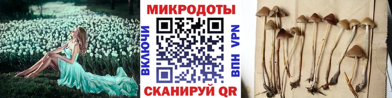 нарко площадка формула  купить   Миньяр  Псилоцибиновые грибы прущие грибы 